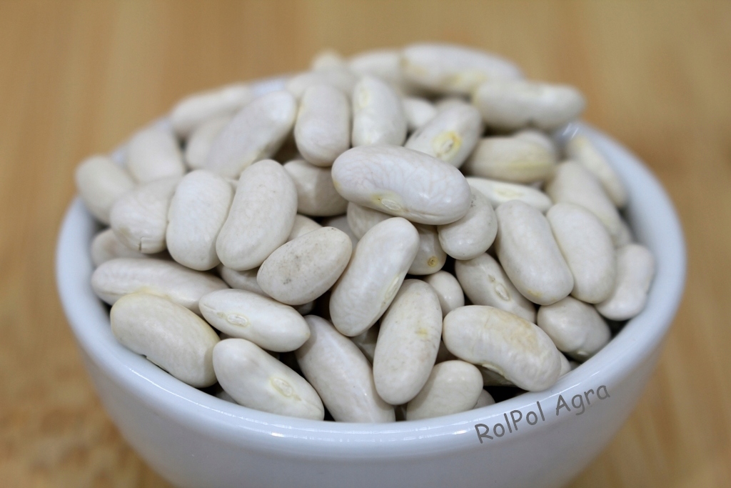 Fasola drobna biała 15 kg