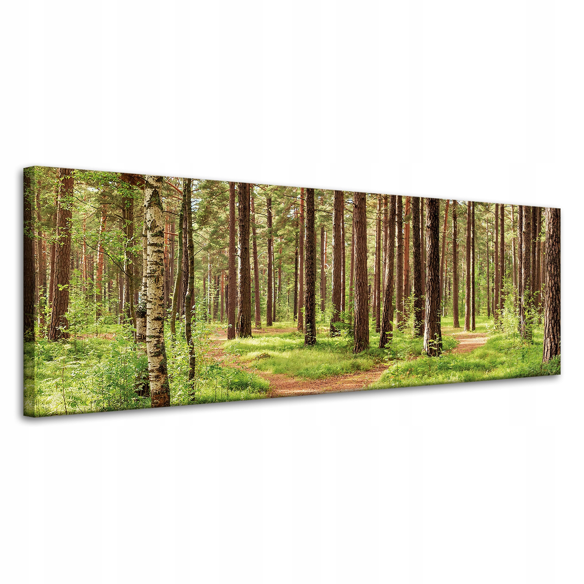 Obraz na plátně Stezka v lese Stromy Příroda 120x40 cm