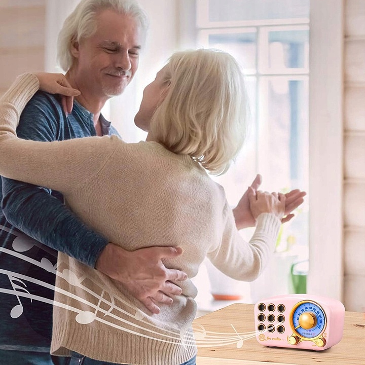 Feegar RETRO Radio FM kuchenne Bluetooth Vintage Radio FM