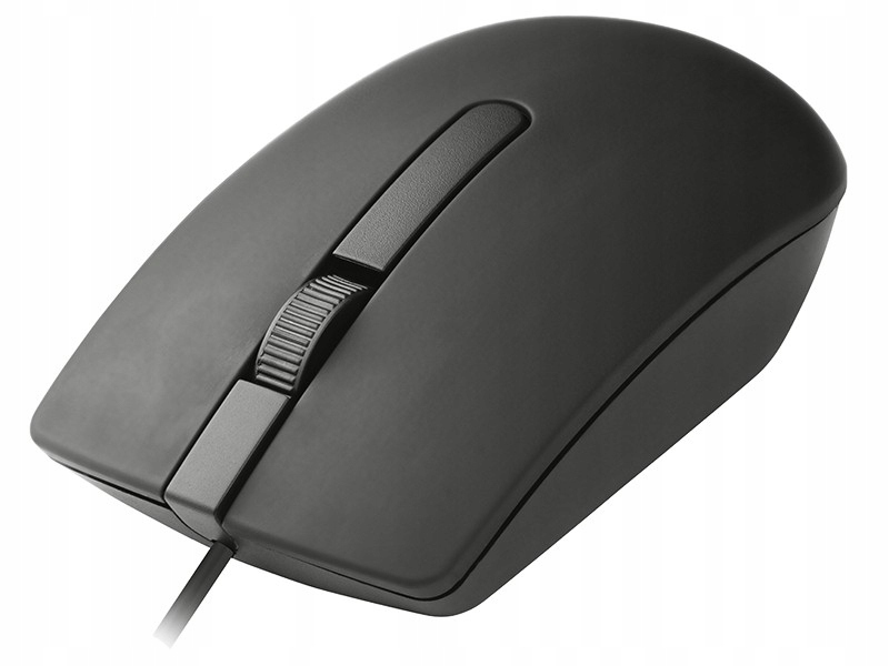Mysz Tracer Offi Black Usb