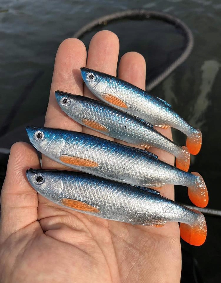 JAK ŻYWA UKLEJA SG 3D BLEAK PADDLE TAIL 8cm - GPS Marka Savage Gear