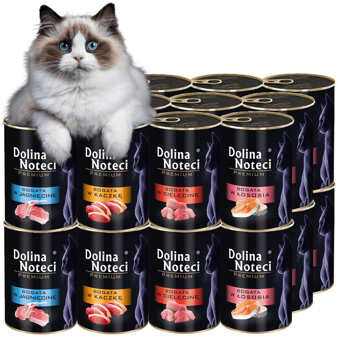 Dolina Noteci Premium Mix smaków dla kota 24x 400g Karma Mokra W Puszkach