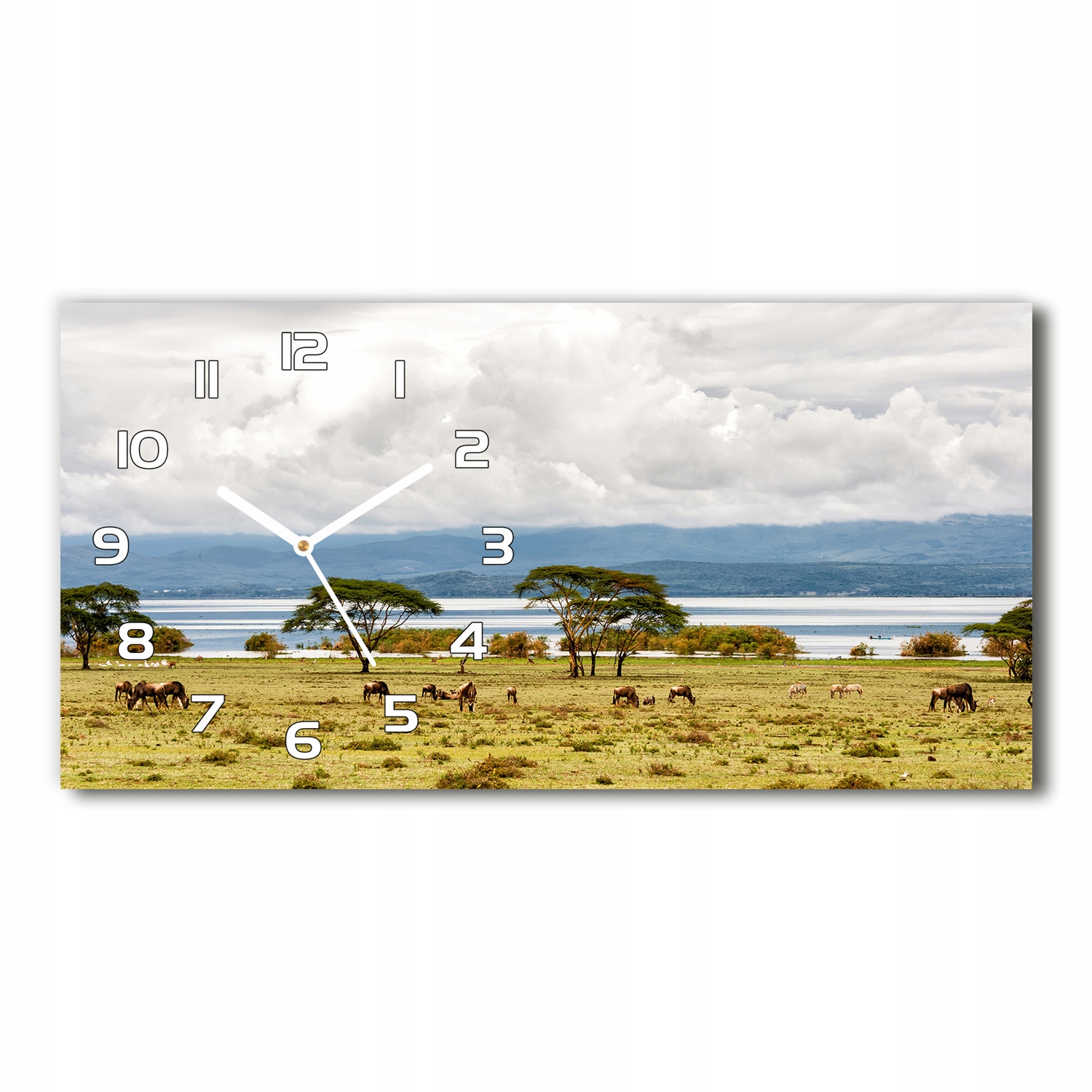 

Zegar ze szkła na ścianę Jezioro Naivasha 60x30 cm