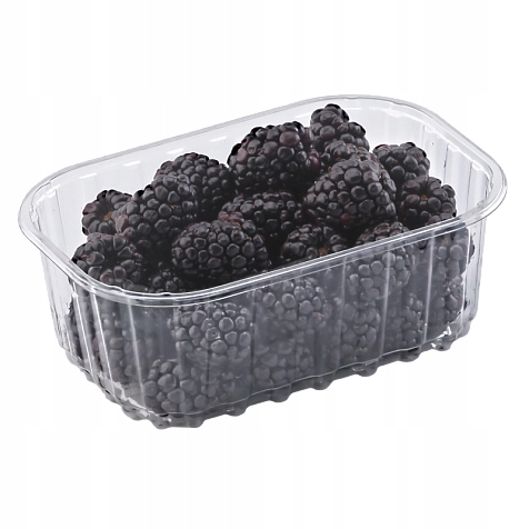 Pojemniki plastikowe na owoce punnets maliny, borówki 250g