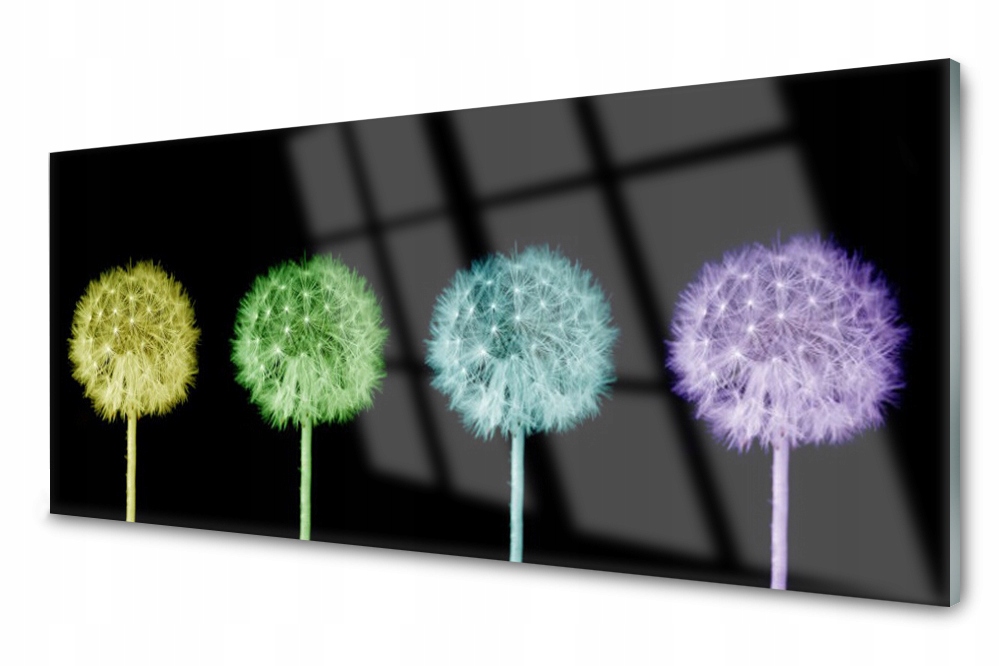 

Panel szklany do kuchni Mniszek Roślina 125x50