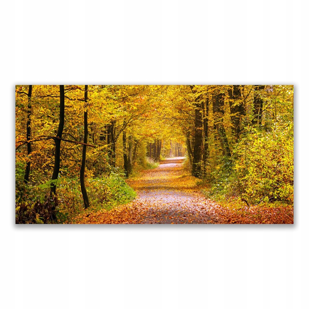 

Fotoobraz akryl 140x70 Las Roślina Dróżka Natura