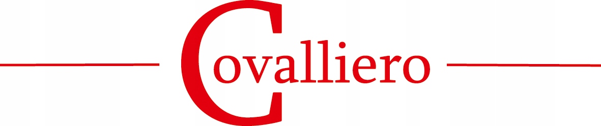 Bryczesy BasicPlus damskie szary Covalliero roz.46 Marka Covalliero