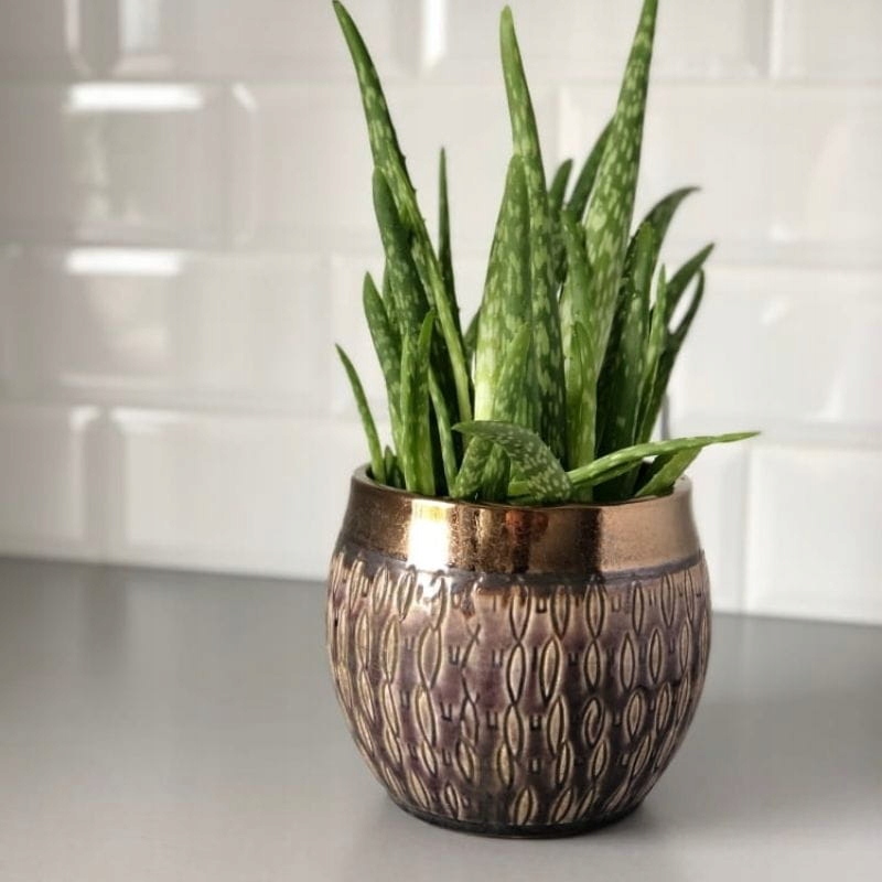 Fioletowa osłonka doniczka złotomiedziany pas kula Kolor odcienie fioletowego