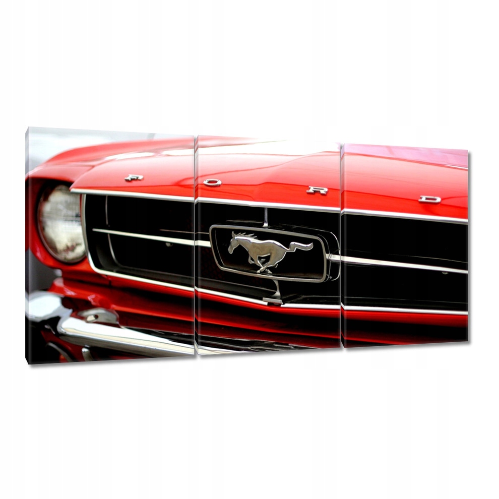 

Obrazy 240x120 Grill Forda Mustanga