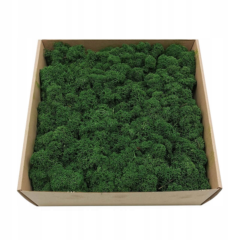 

250g netto Mech Chrobotek reniferowy Oczyszczony