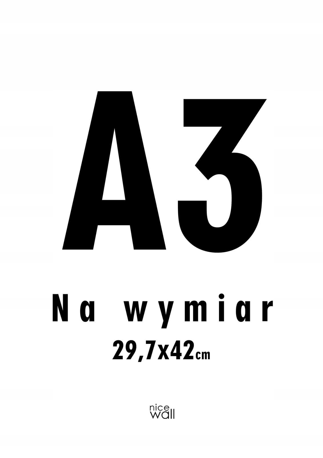 

Plakat A3 29,7x42 cm Wydruk cyfrowy papier 200g/m2