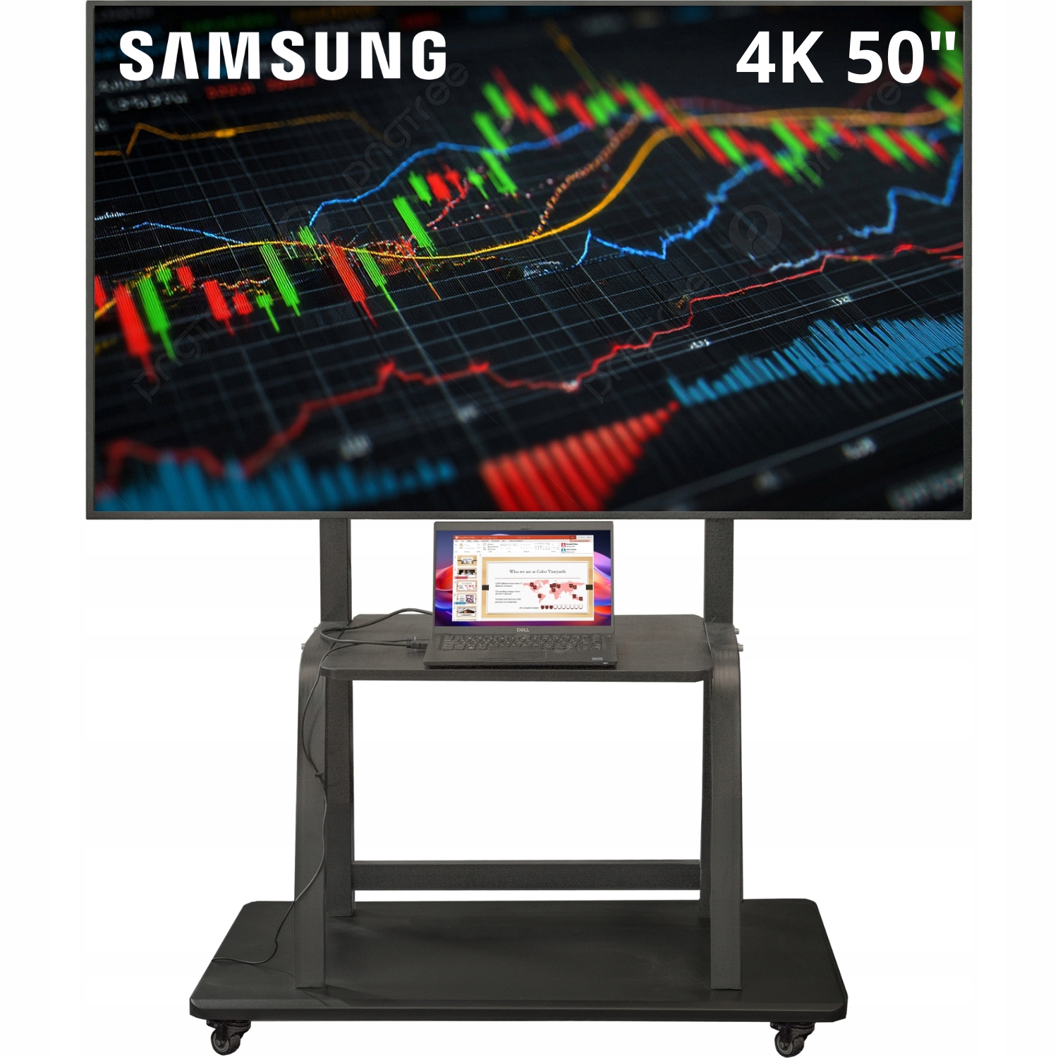 Profesionální Kancelářský Konferenční Panel Na Stojanu Samsung 50" 4K