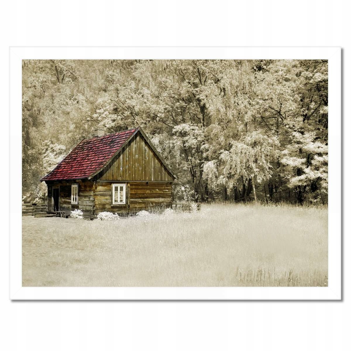 Plakáty v rámu 40x30 Baleův srub