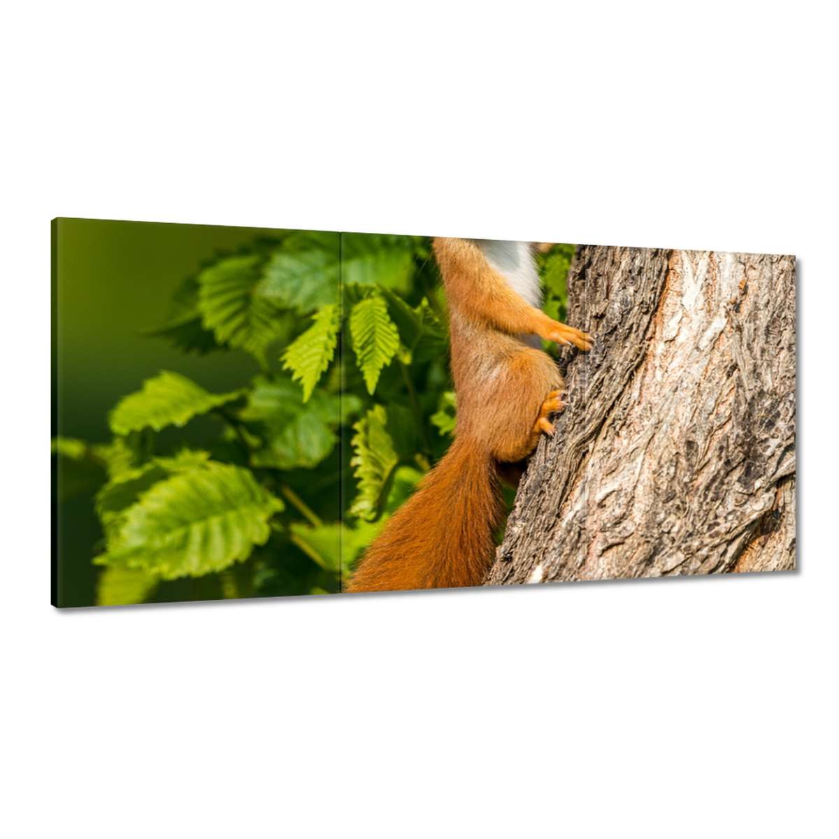 Obrazy 180x90 Zvieratá Zvieratká