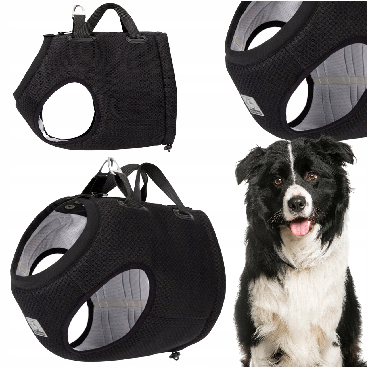 Levně Automobilové Postroje Pro Psa S Atestem Truelove Expedition Černé XL