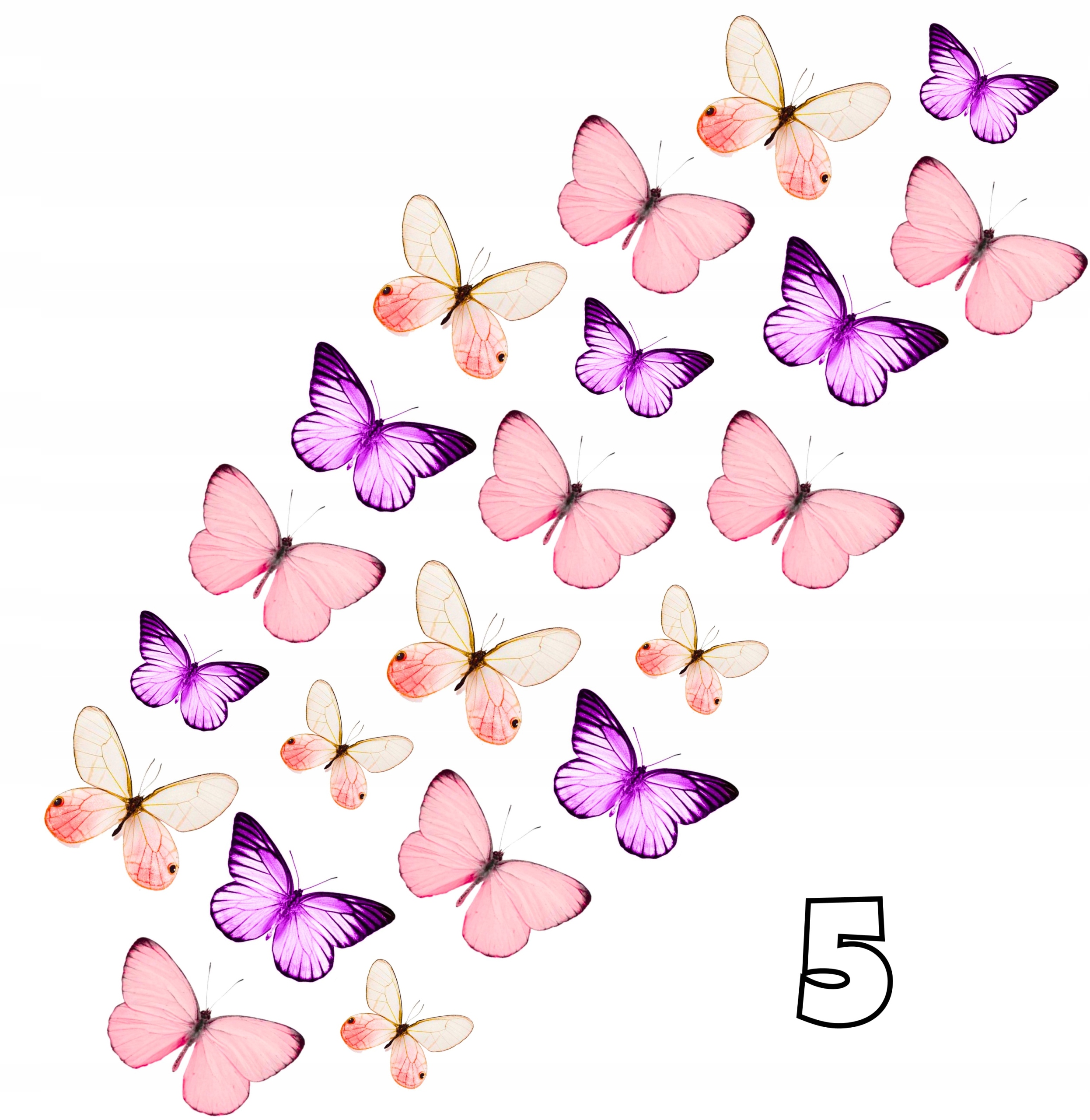 WAFLOWE MOTYLE 3D MOTYLKI NA TORT OZDOBA 24 szt 12444962159 - Allegro.pl