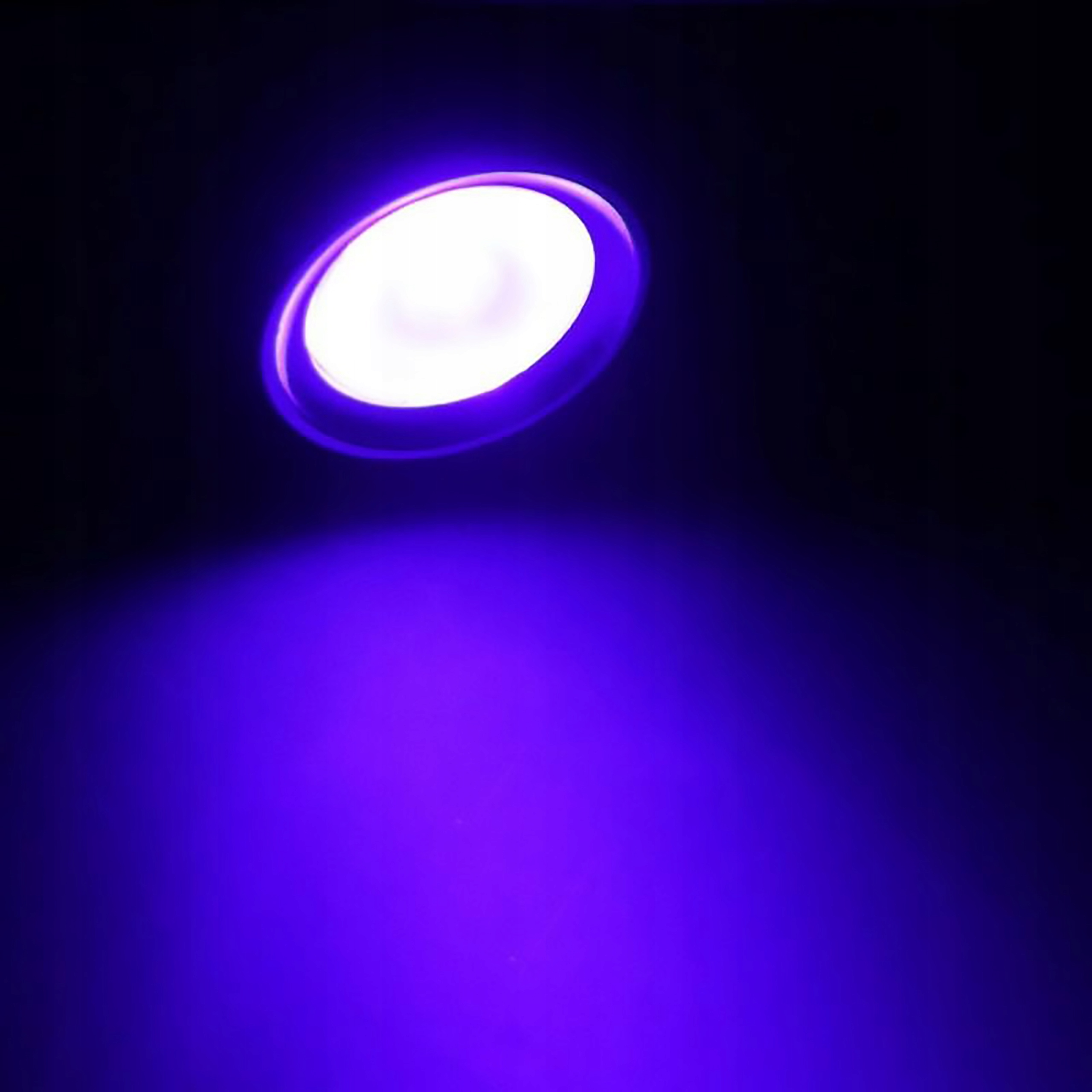 LASER FIOLETOWY WSKAŹNIK Model 122390