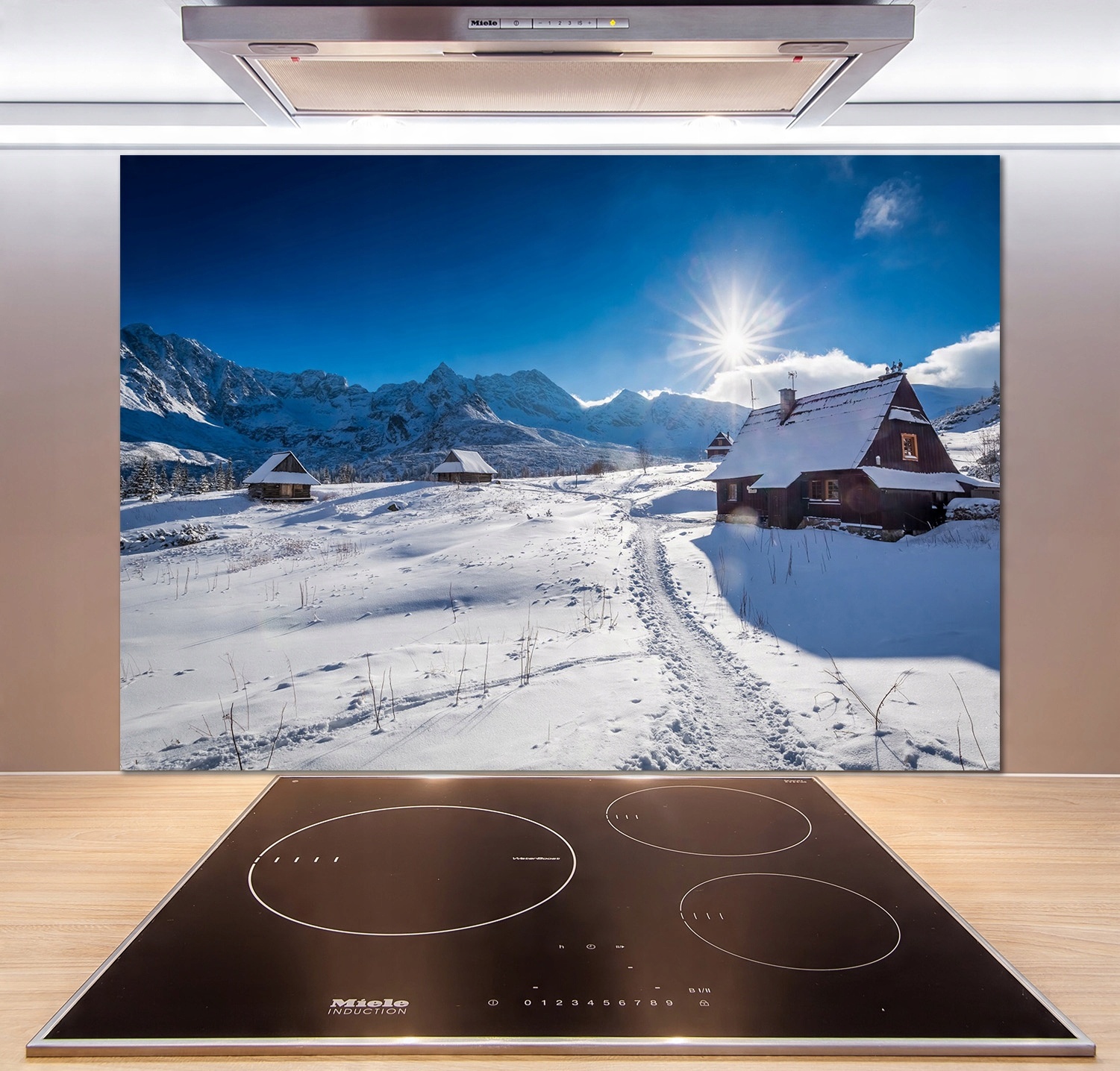 

Panel dekor szkło Hale Tatry 100x70 cm + Klej