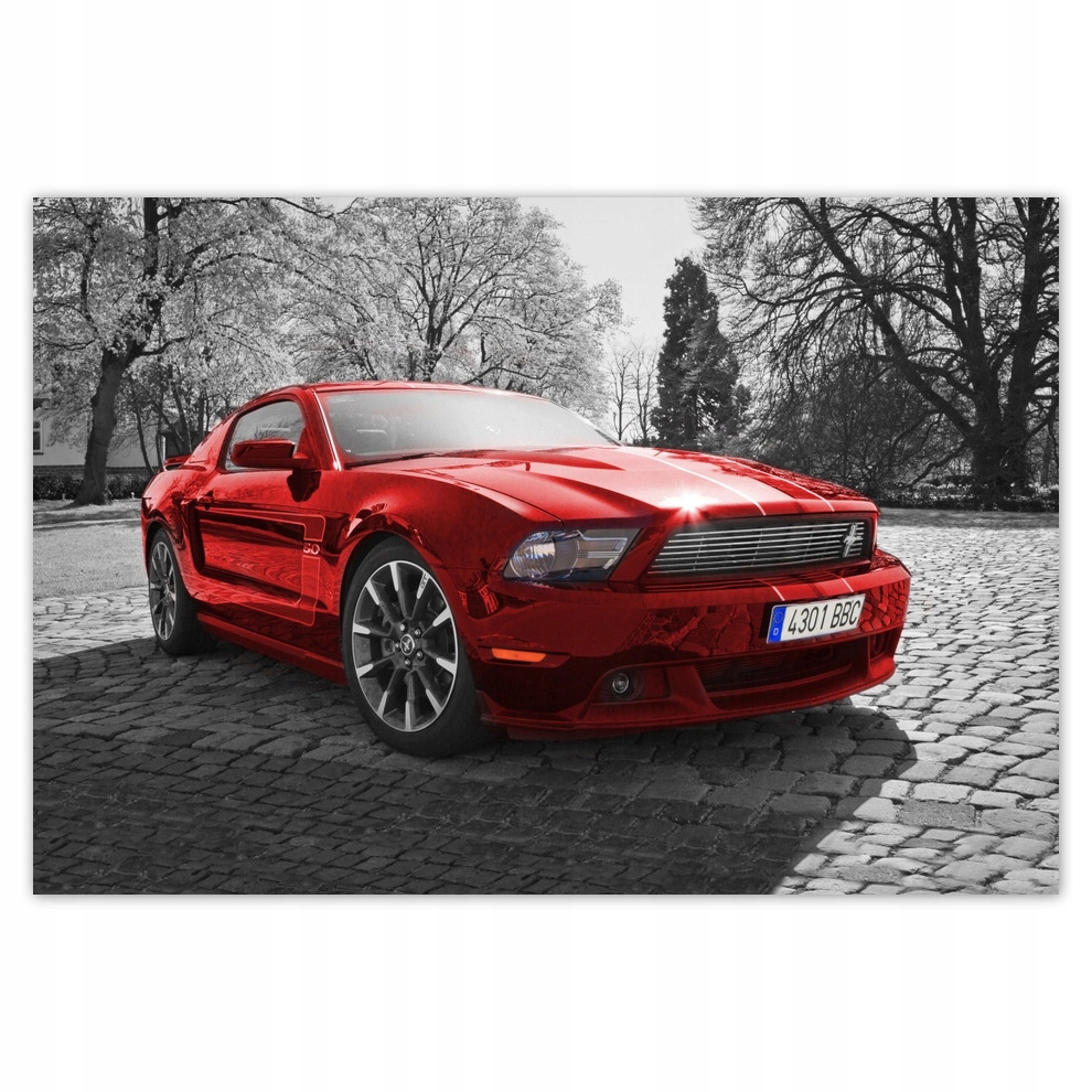 

Fototapety flizelina 104x70 Czerwony Ford Mustang