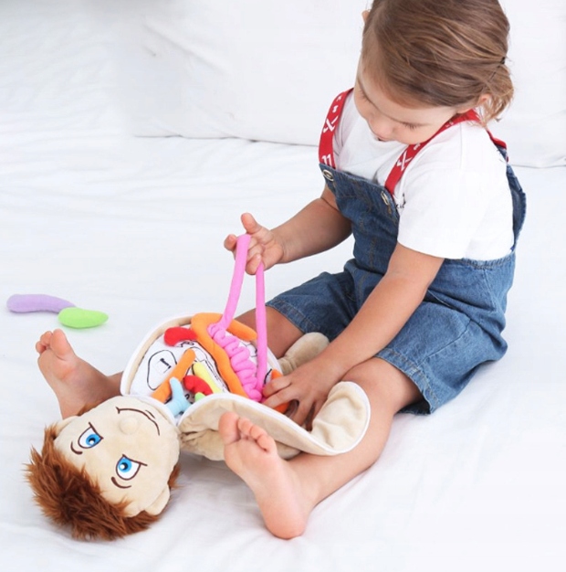 ZABAWKA PLUSZOWA NARZĄDY ANATOMIA ZABAWKI DLA DZIECI MIĘKKA LALKA Marka Pan i Pani Gadżet