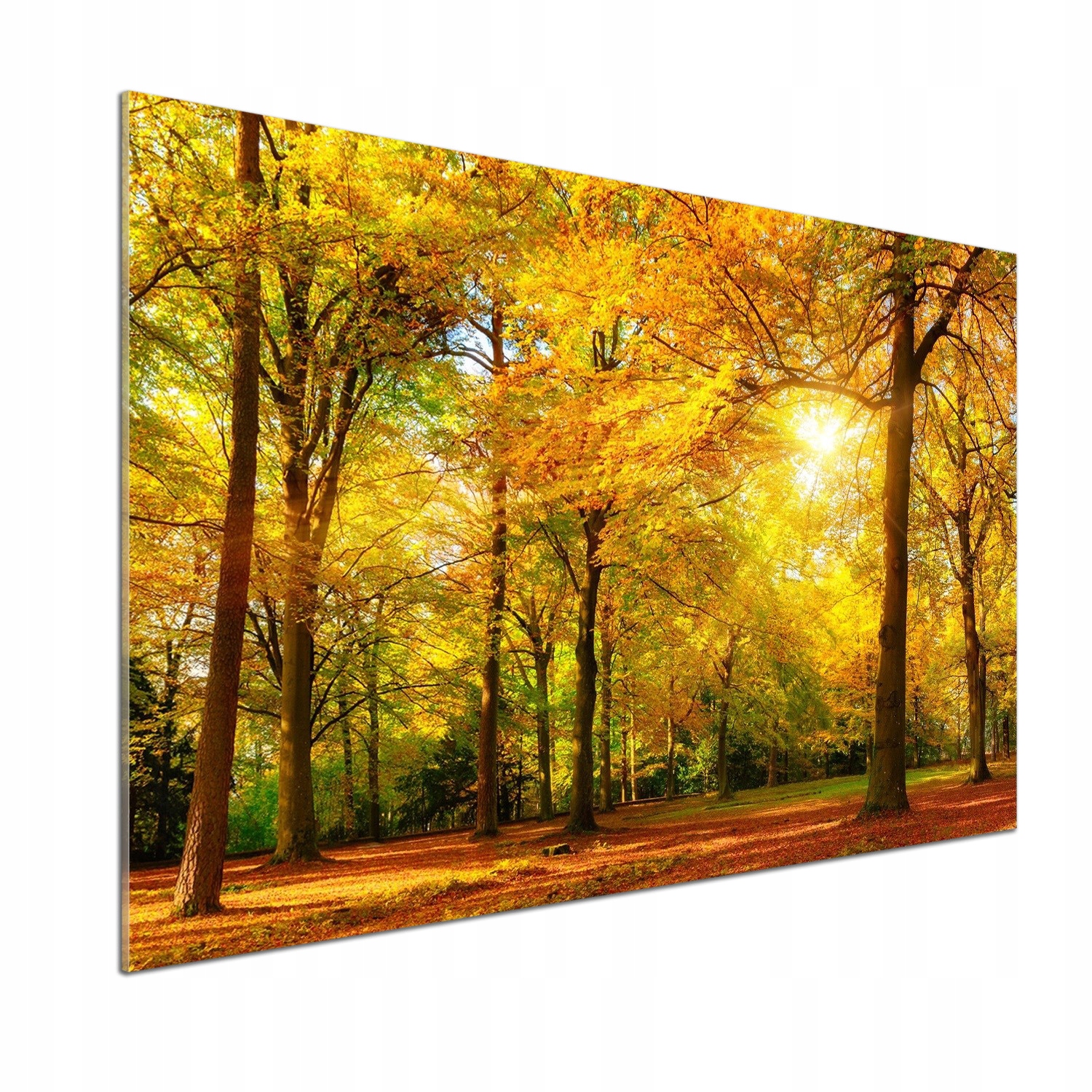 Panel dekor sklo Les na jeseň 100x70 cm Lepidlo