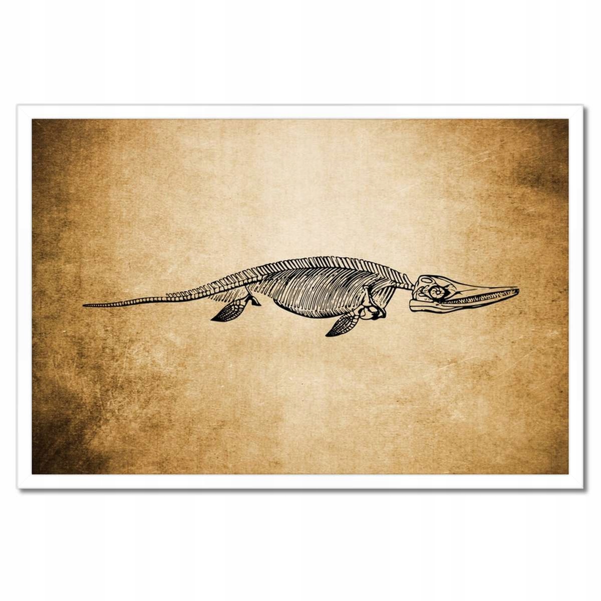 Plakáty v rámu 60x40 Dinosaurus Prehistorie Dino
