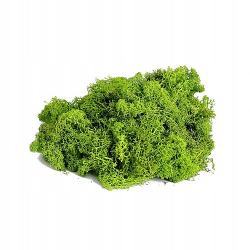 

Mech chrobotek naturalny zielony 100gram