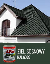 LOWICYN ZIELONY SOSNOWY MAT 10L - RAL6028