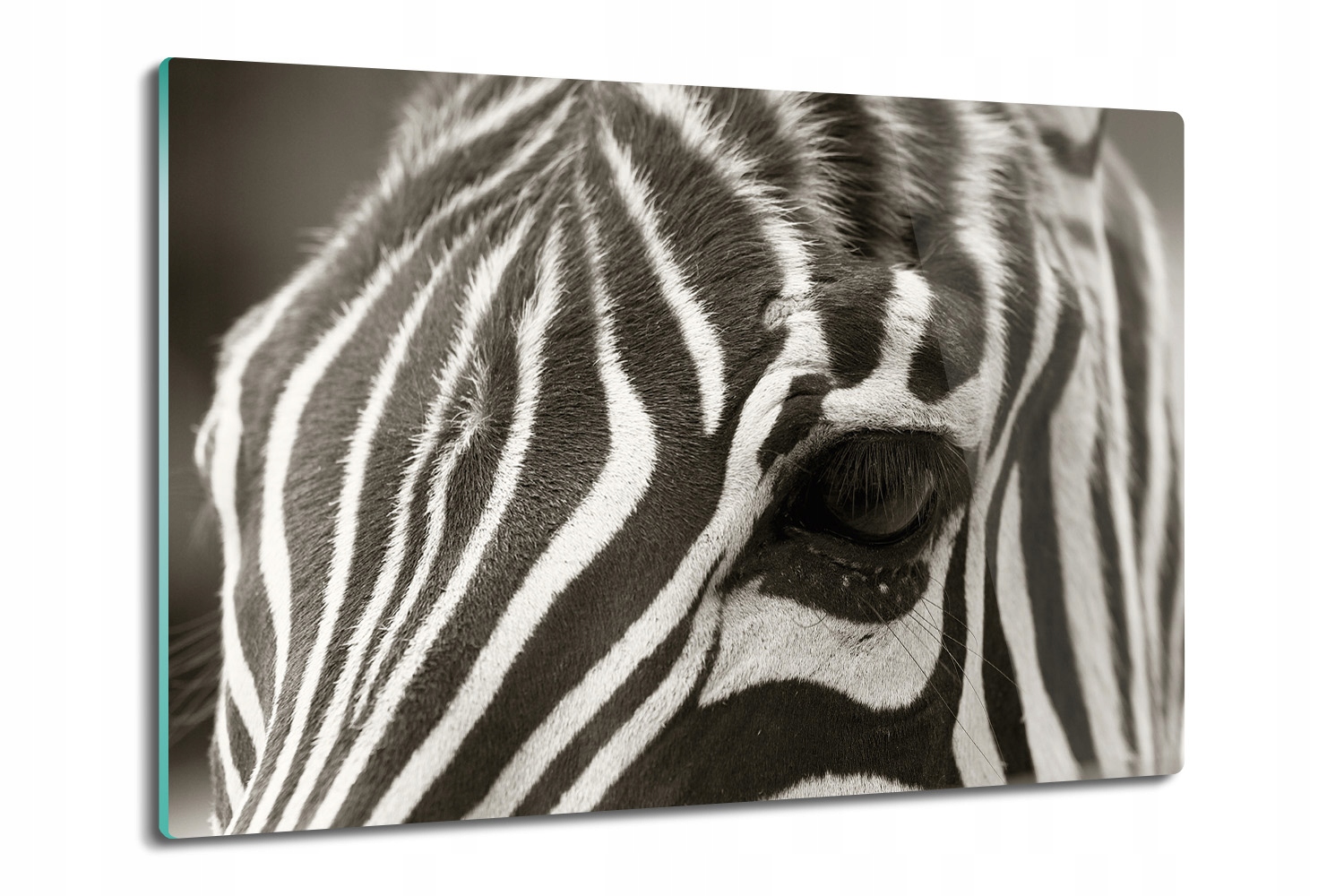 skleněná deska na kuchyňskou linku Oko zebra 80x52