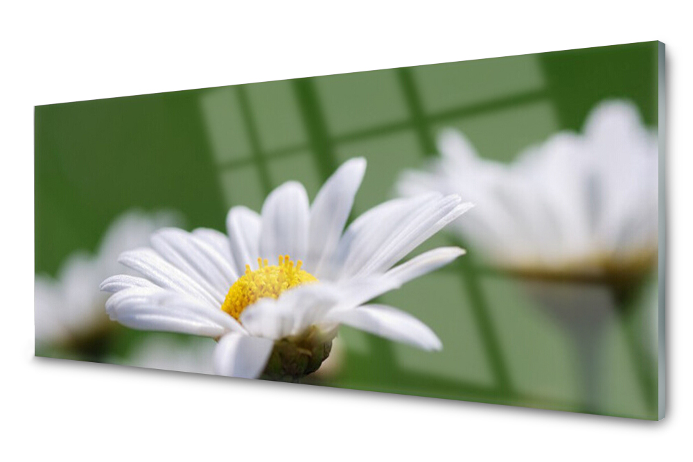 

Panel szklany do kuchni Stokrotka 125x50