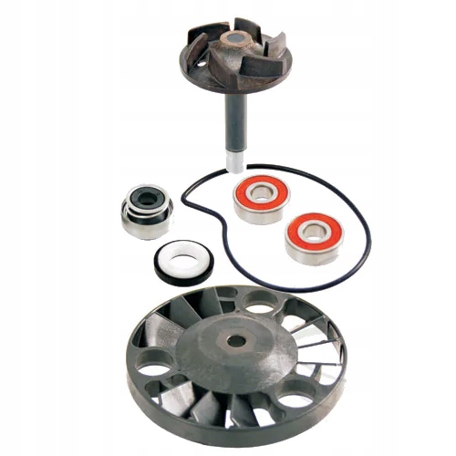 7530025 - Комплект для ремонту водяного насоса Piaggio Beverly 125