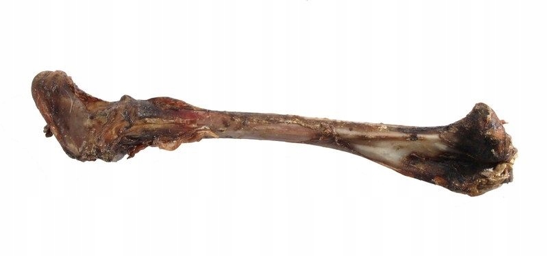 Uniszki - Kość z jelenia ok.25cm