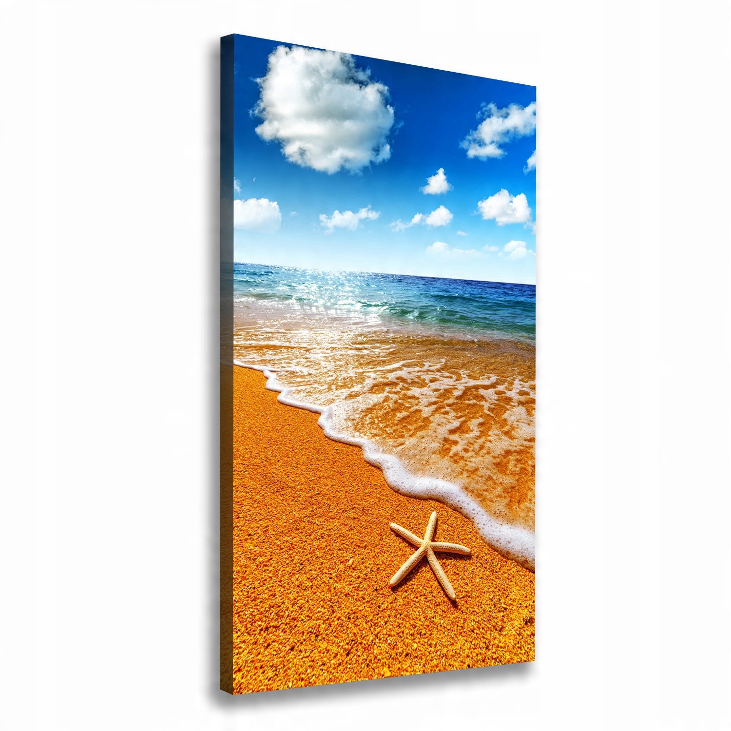

Foto obraz na płótnie Rozgwiazda na plaży 70x140cm