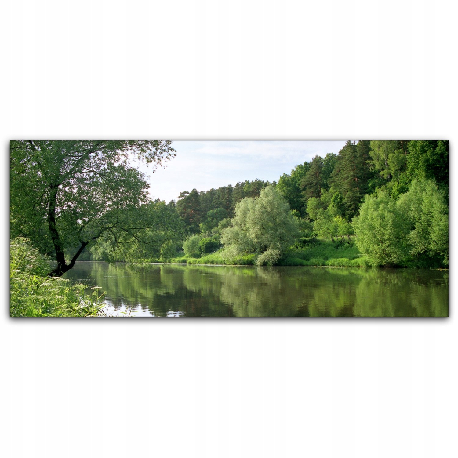 

Obraz canvas na ścianę 125x50 Las Rzeka Krajobraz