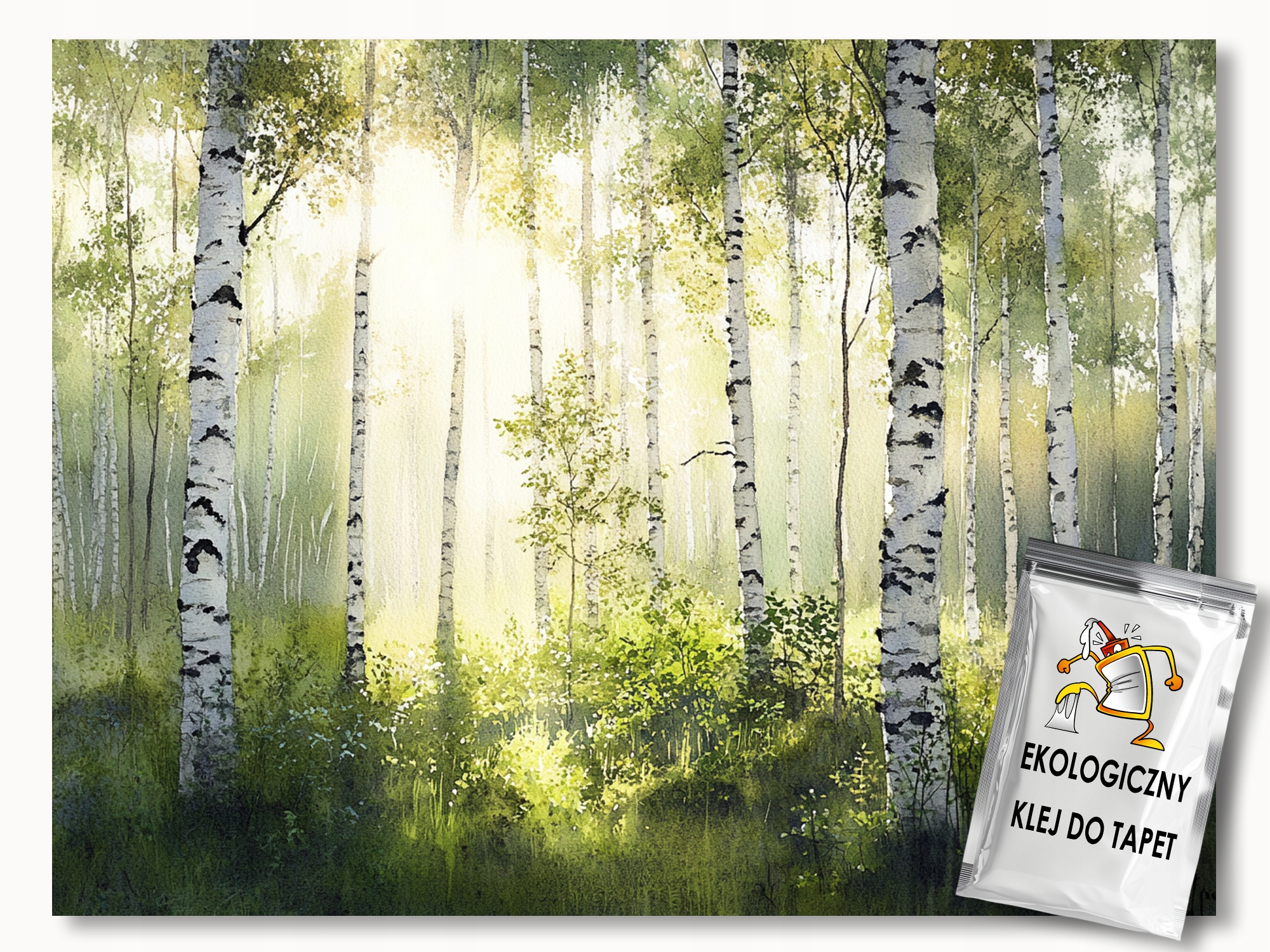 Fototapeta Flizelina Pejzaž Las Park Zagajnik Strom Breza 368x254 130g