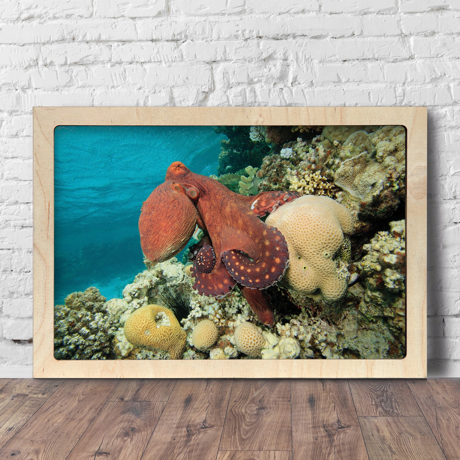 Fotoobraz na zeď rámeček Chobotnice oceán 60x40