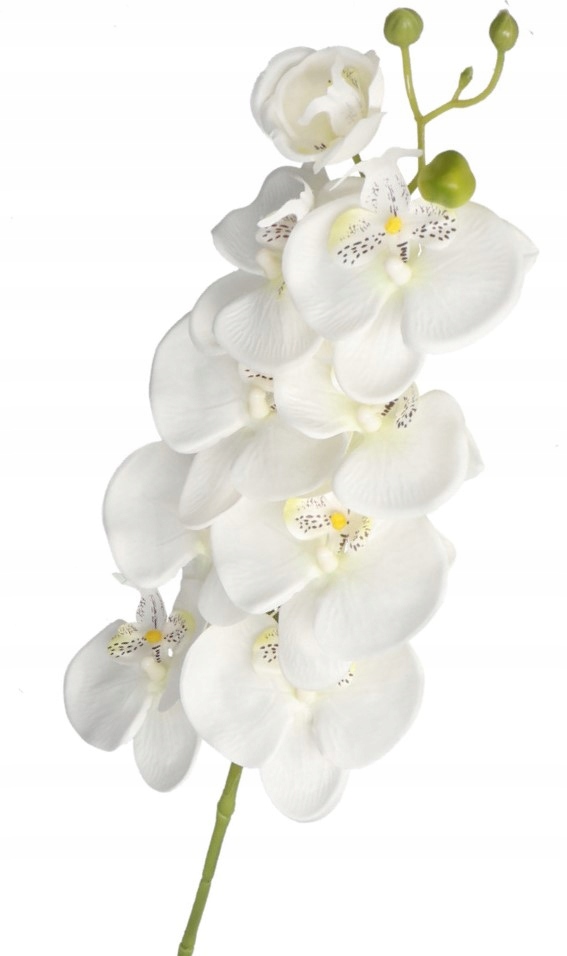 

Storczyk Pojedynczy Orchidea 100CM Sztuczne Kwiaty