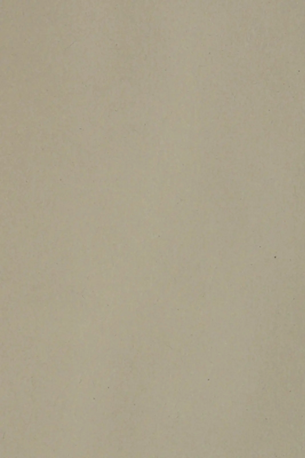 

Papier Burano 250g Pietra szary 20A4
