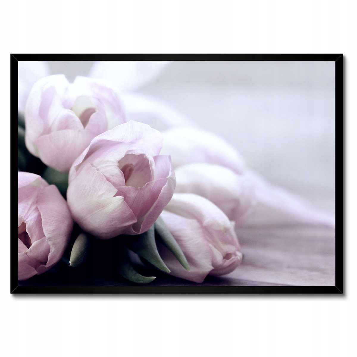 Plakáty v rámu 70x50 Tulipány Květiny