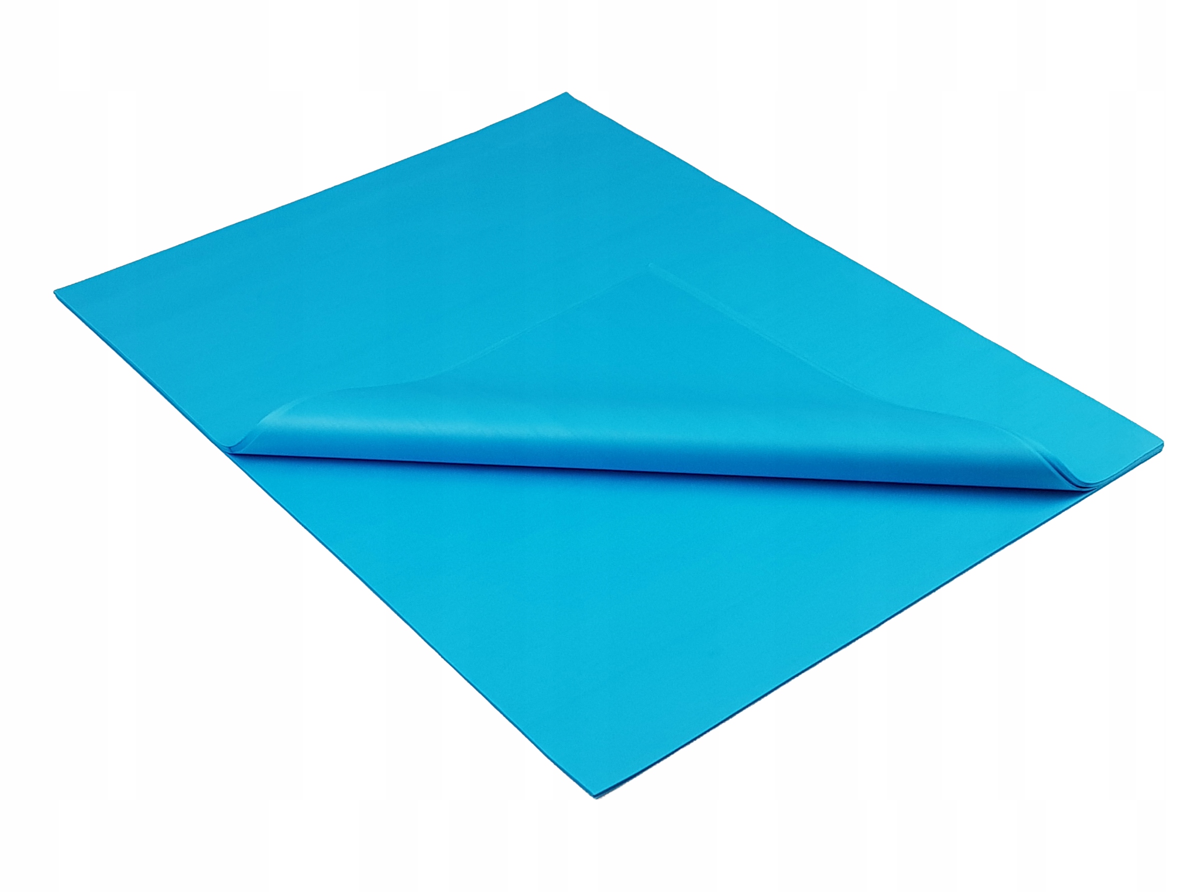 

Bibuła gładka 38*50 cm 100 arkuszy Niebieska