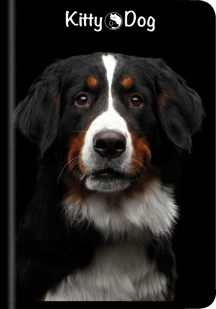 Zeszyt w kratkę A5 TOP-2000 96 kartek Marka TOP-2000