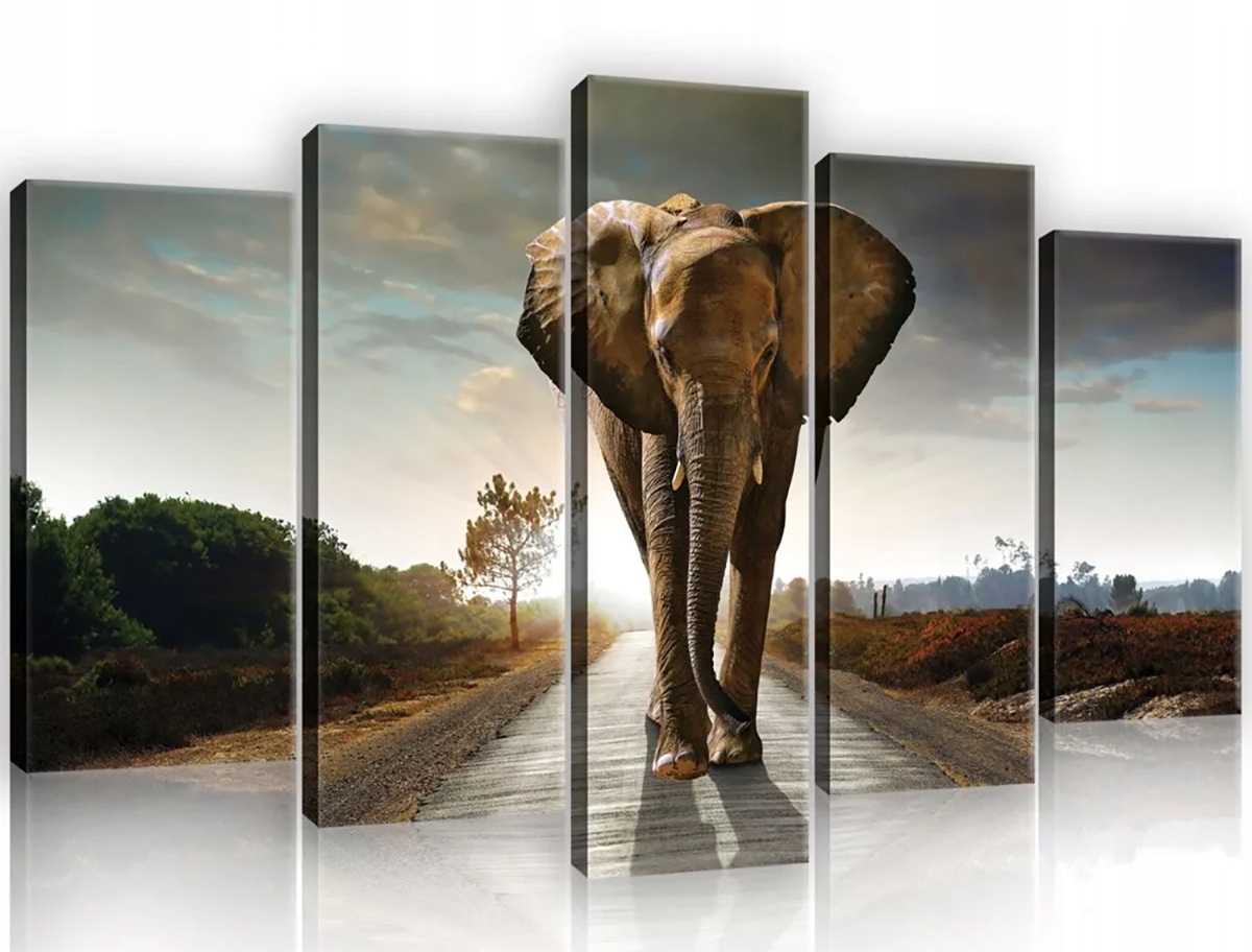 Obraz Na Plátně Canvas 100x60 Slon Cesta Procházka
