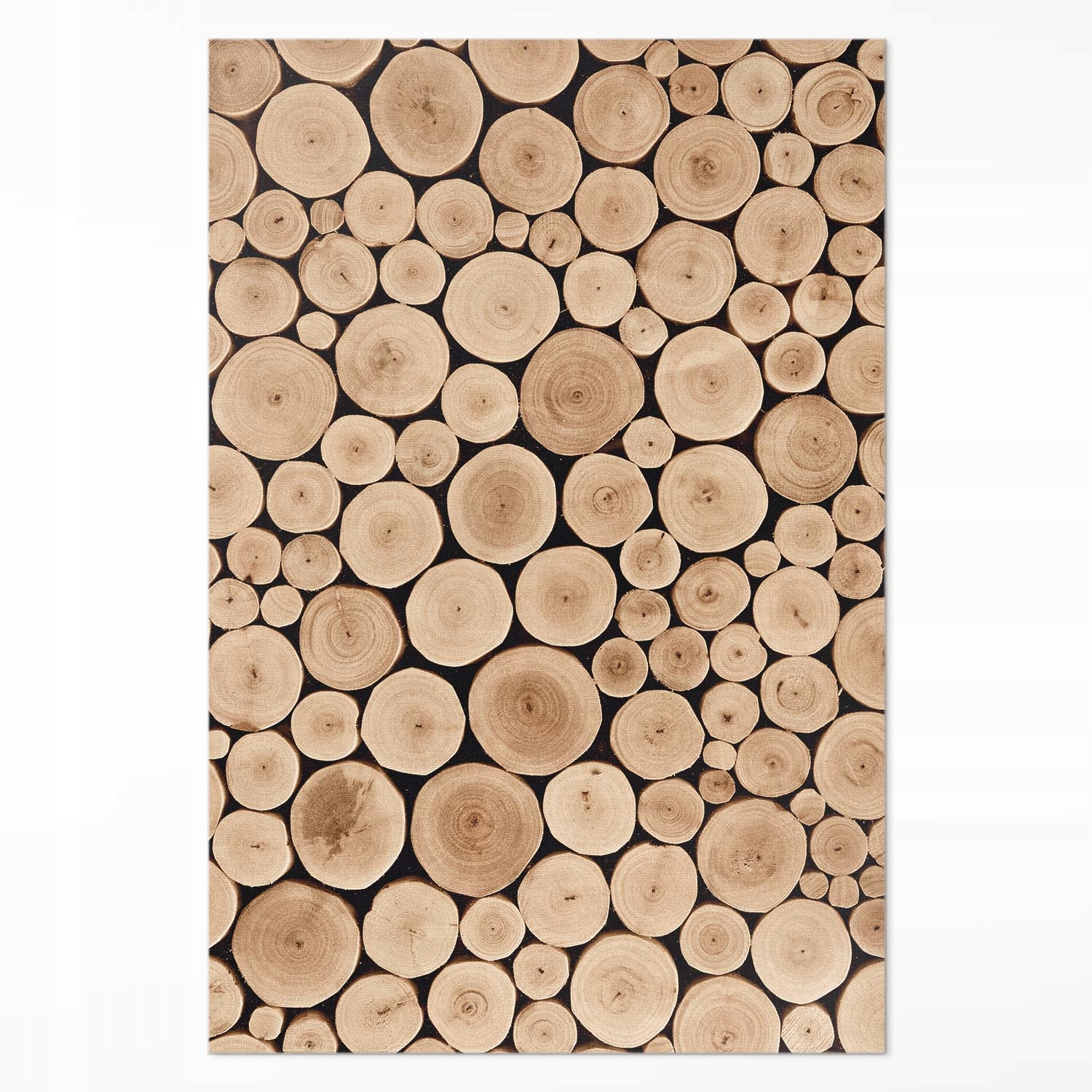 Koberec Vnitřní voděodolný Kmeny stromů dřevěné kolíky 140 x 210 cm