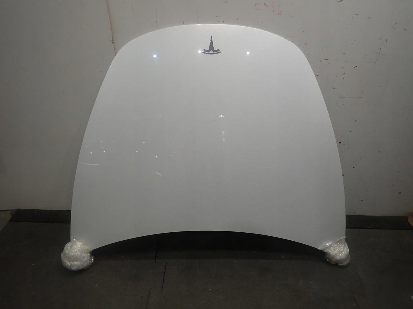 MOTORHAUBE TESLA 3 2017