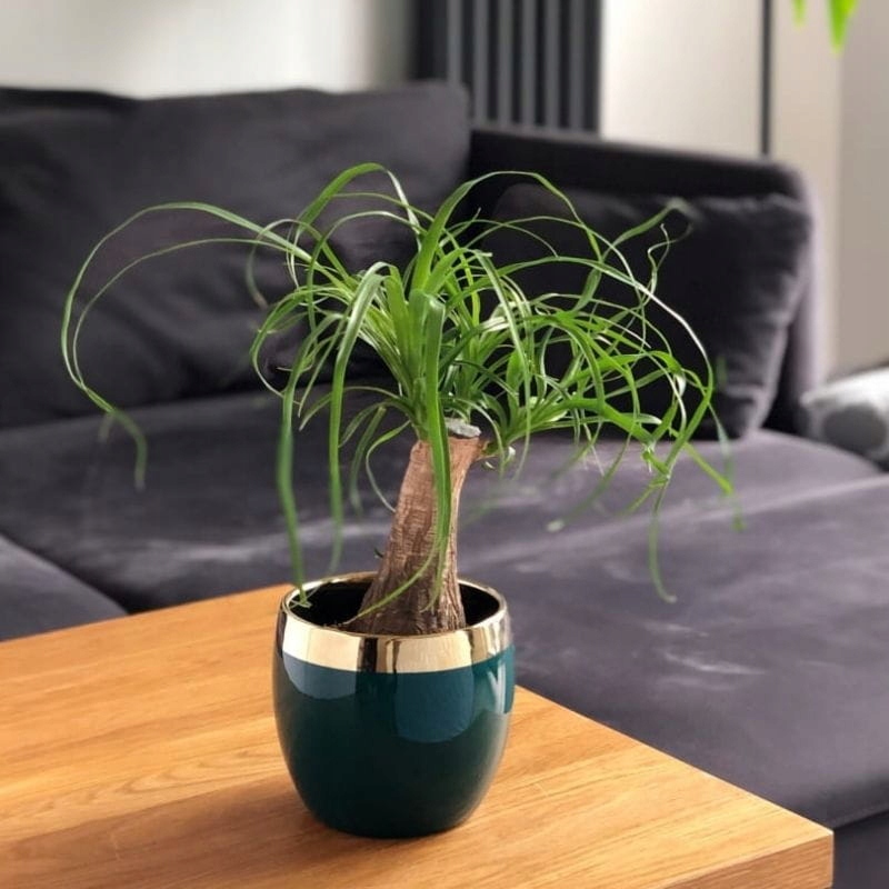 Elegancka zielona osłonka doniczka kula złoty pas EAN (GTIN) 5905925112010