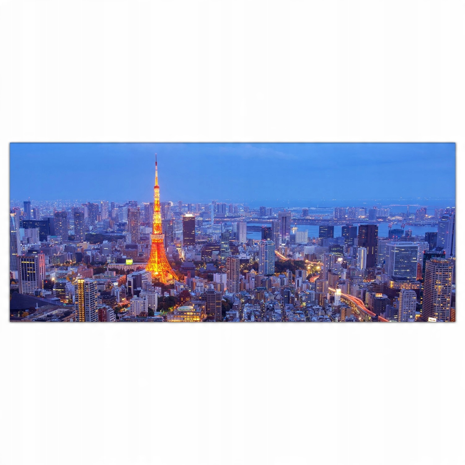 

Obraz na szkle Foto Tokio Japonia Miasto 125x50