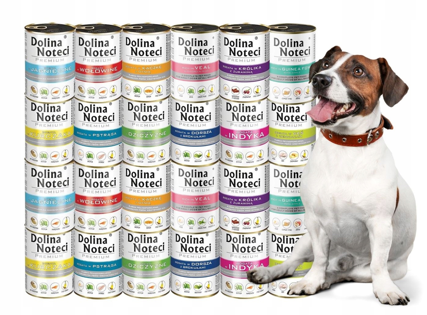 Levně Dolina Noteci Prémiové Vlhké krmivo mix chutí 24x400g