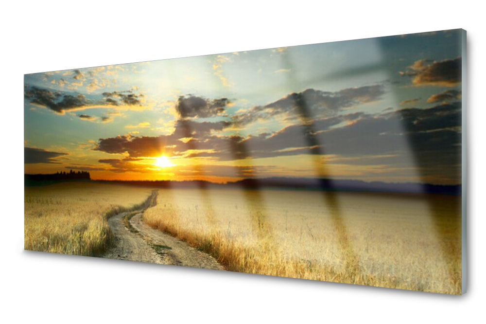 

Panel szklany do kuchni Dróżka Pole 125x50