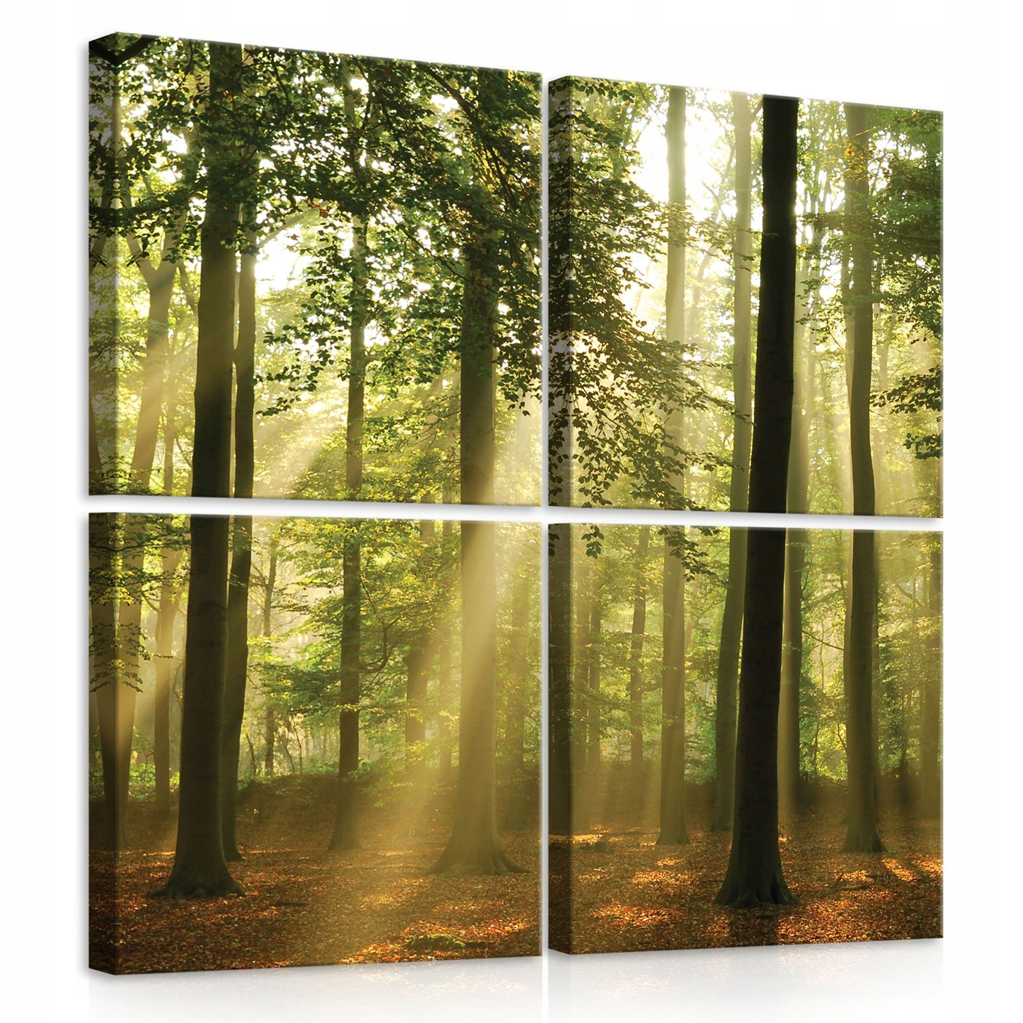 Obraz 50x50 Les sluneční paprsky mlha příroda klid harmonie stromy podzim