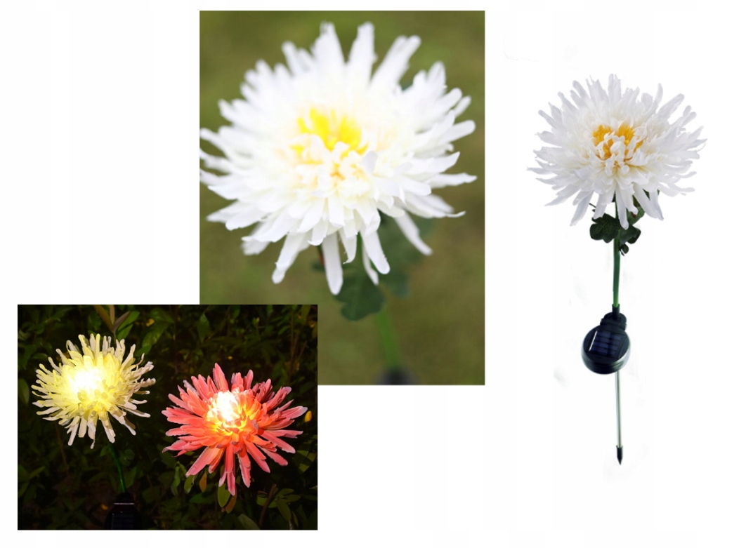 lampka  2szt. solarna kwiat led CHRYZANTEMA 40 cm | NT2156 — 2